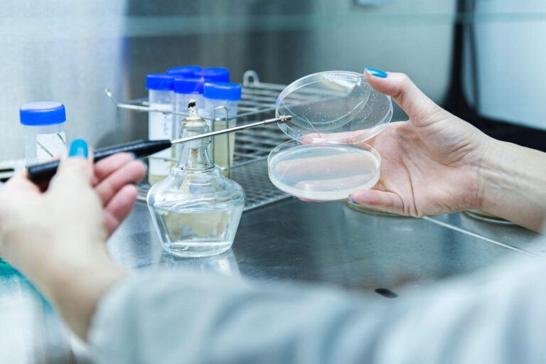 rc chemicals shop eu